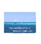 沖縄の海風景絵葉書と海中生物の日常会話3（個別スタンプ：4）