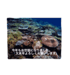 沖縄の海風景絵葉書と海中生物の日常会話3（個別スタンプ：5）