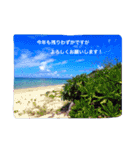沖縄の海風景絵葉書と海中生物の日常会話3（個別スタンプ：13）