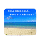沖縄の海風景絵葉書と海中生物の日常会話3（個別スタンプ：14）