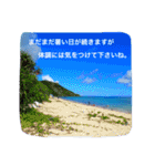 沖縄の海風景絵葉書と海中生物の日常会話3（個別スタンプ：15）
