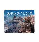 沖縄の海風景絵葉書と海中生物の日常会話3（個別スタンプ：17）