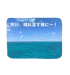 沖縄の海風景絵葉書と海中生物の日常会話3（個別スタンプ：23）