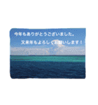沖縄の海風景絵葉書と海中生物の日常会話3（個別スタンプ：28）