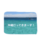 沖縄の海風景絵葉書と海中生物の日常会話3（個別スタンプ：29）