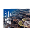 沖縄の海風景絵葉書と海中生物の日常会話3（個別スタンプ：30）