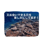 沖縄の海風景絵葉書と海中生物の日常会話3（個別スタンプ：34）
