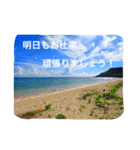 沖縄の海風景絵葉書と海中生物の日常会話3（個別スタンプ：36）