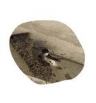 可愛い愛犬と昆虫たち（個別スタンプ：4）