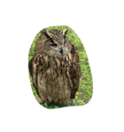 可愛い愛犬と昆虫たち（個別スタンプ：6）
