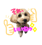まるぷー☆こてつ（個別スタンプ：14）