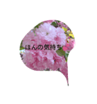 日常の風景（個別スタンプ：1）