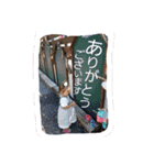 おちび2歳（個別スタンプ：25）