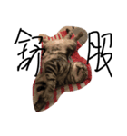 funning（個別スタンプ：5）