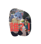 mikasakuya（個別スタンプ：10）