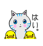 おとぼけ ココニャン（個別スタンプ：12）