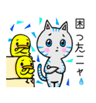 おとぼけ ココニャン（個別スタンプ：27）