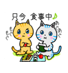 おとぼけ ココニャン（個別スタンプ：30）