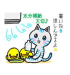 おとぼけ ココニャン（個別スタンプ：36）
