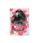 My dog think word.（個別スタンプ：1）