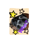 My dog think word.（個別スタンプ：2）