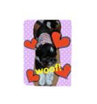 My dog think word.（個別スタンプ：3）