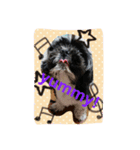 My dog think word.（個別スタンプ：4）