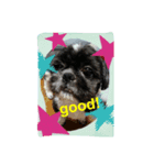 My dog think word.（個別スタンプ：5）