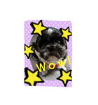 My dog think word.（個別スタンプ：6）