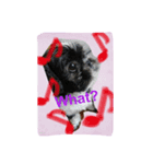 My dog think word.（個別スタンプ：7）