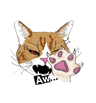 MeawMow（個別スタンプ：3）