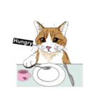 MeawMow（個別スタンプ：17）