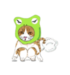 MeawMow（個別スタンプ：19）
