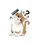 MeawMow（個別スタンプ：20）