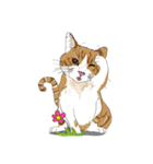 MeawMow（個別スタンプ：22）