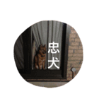 kuncha（個別スタンプ：3）