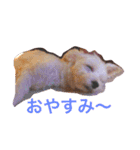 サリーくんのつぶやき（個別スタンプ：3）