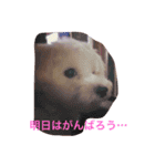 サリーくんのつぶやき（個別スタンプ：9）