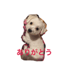 サリーくんのつぶやき（個別スタンプ：11）