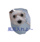 サリーくんのつぶやき（個別スタンプ：12）