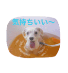 サリーくんのつぶやき（個別スタンプ：16）