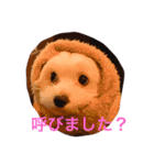 サリーくんのつぶやき（個別スタンプ：19）