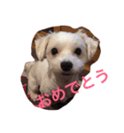 サリーくんのつぶやき（個別スタンプ：20）