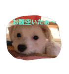 サリーくんのつぶやき（個別スタンプ：21）