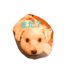 サリーくんのつぶやき（個別スタンプ：23）