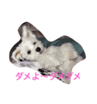 サリーくんのつぶやき（個別スタンプ：24）