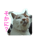びび＆へいじ（個別スタンプ：1）