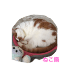びび＆へいじ（個別スタンプ：6）