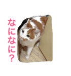 びび＆へいじ（個別スタンプ：8）