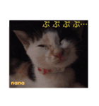 三毛猫nana4（個別スタンプ：2）